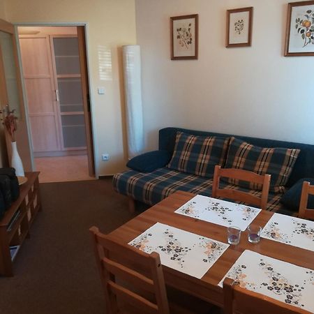 Apartments Rokytka 308 & 405 روكيتنسي ناد جيزيرو المظهر الخارجي الصورة