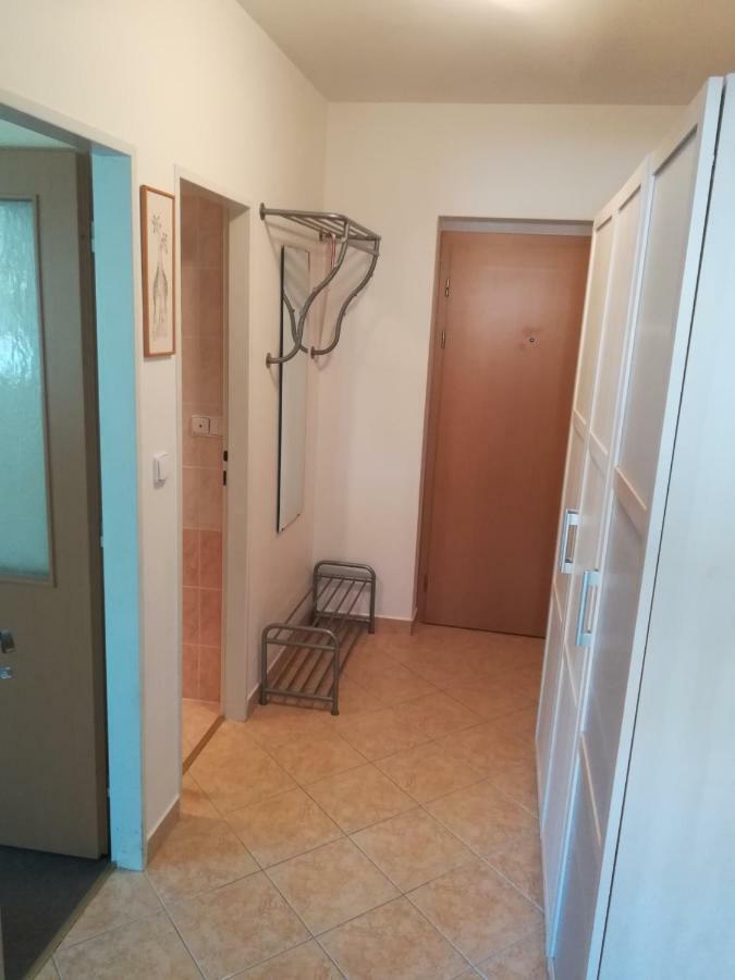 Apartments Rokytka 308 & 405 روكيتنسي ناد جيزيرو المظهر الخارجي الصورة