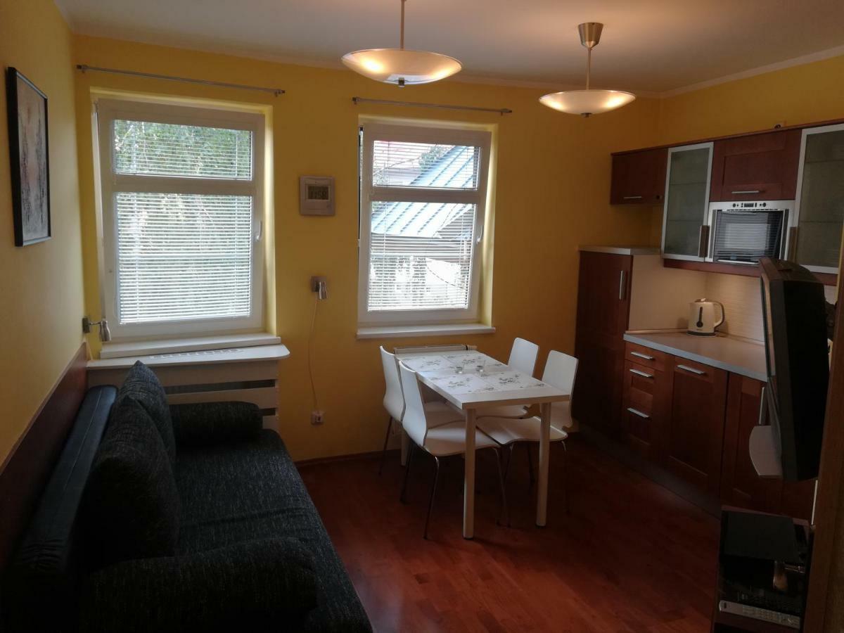 Apartments Rokytka 308 & 405 روكيتنسي ناد جيزيرو المظهر الخارجي الصورة