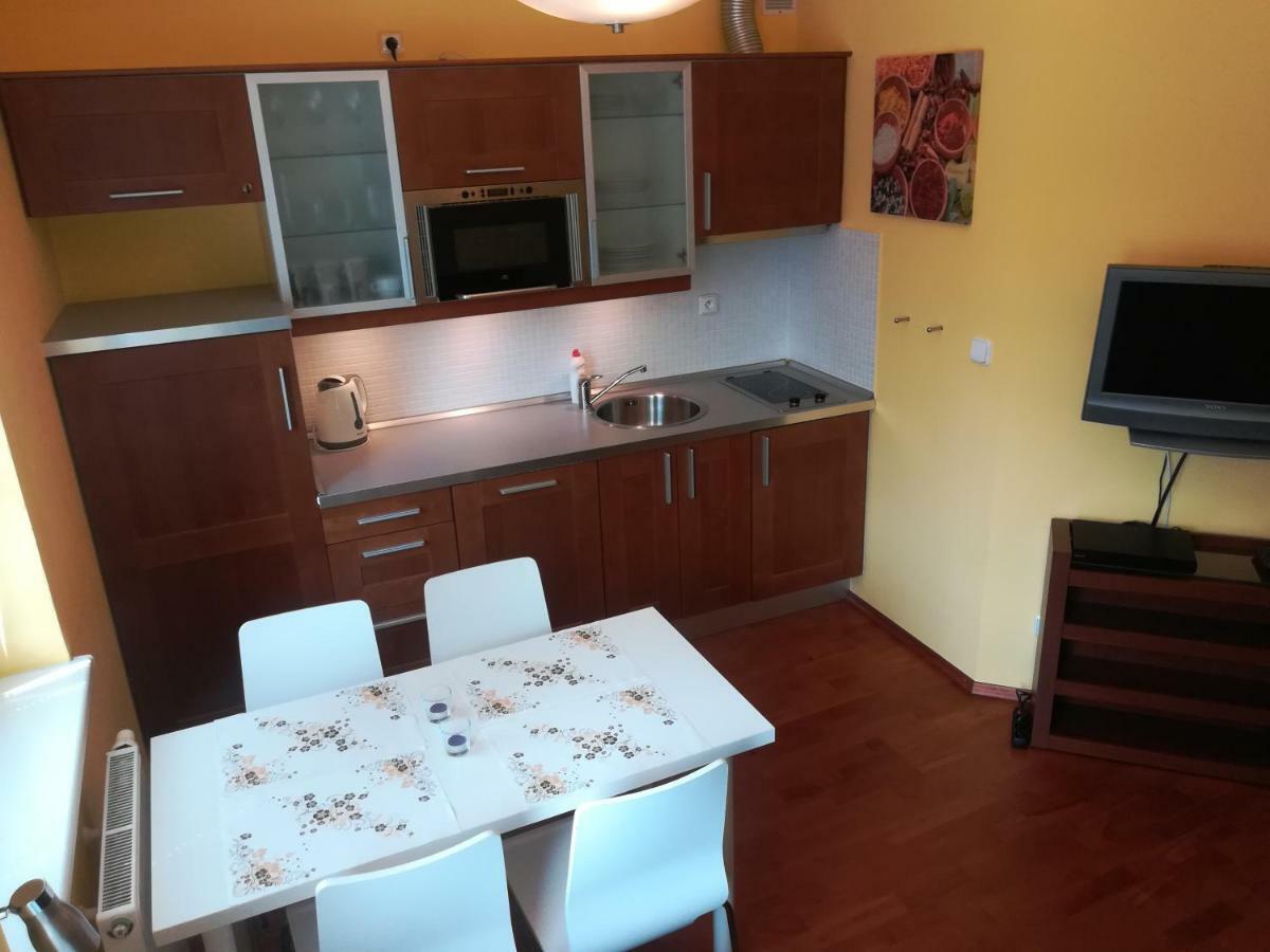 Apartments Rokytka 308 & 405 روكيتنسي ناد جيزيرو المظهر الخارجي الصورة