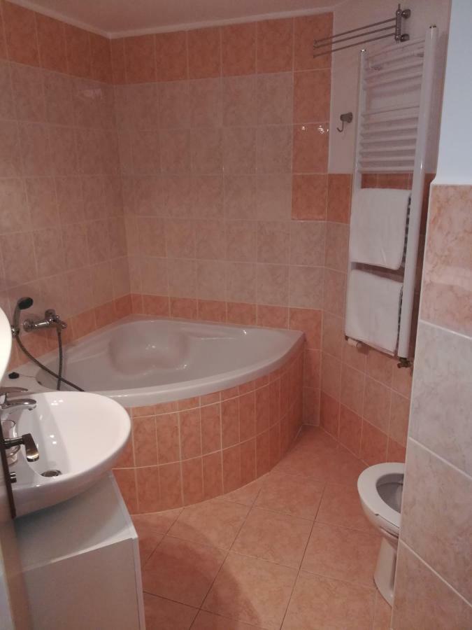Apartments Rokytka 308 & 405 روكيتنسي ناد جيزيرو المظهر الخارجي الصورة